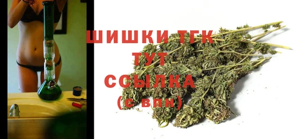 амф Карпинск