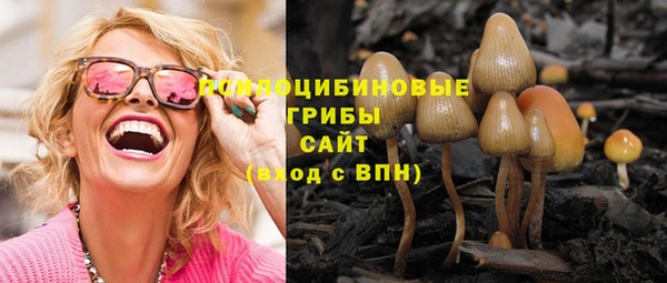 apvp Каменка