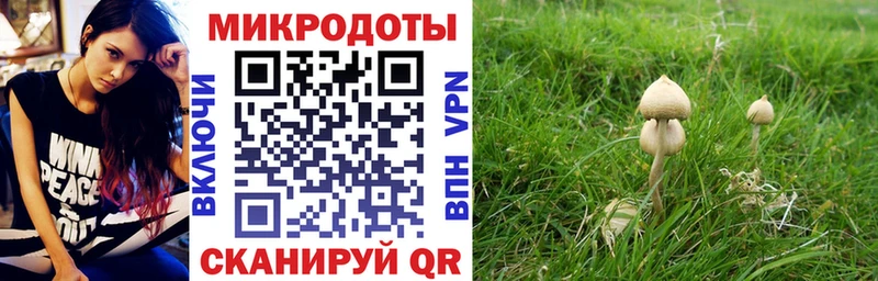 Псилоцибиновые грибы GOLDEN TEACHER  Купить где  Феодосия 